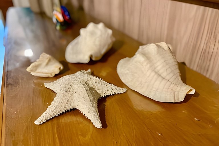 Alto padrão pé na areia no Guaruja. Encante-se!