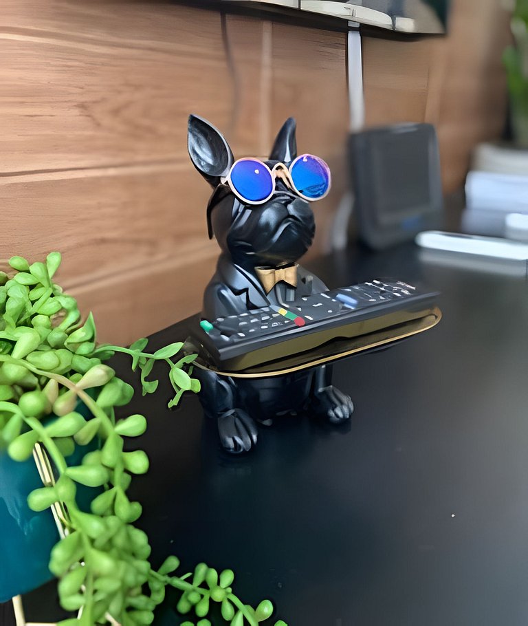 SHB - Conforto e estilo contemporâneo no Gonzaga