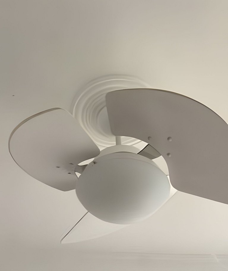 SHB - Vivendo o Sonho à Beira da Praia