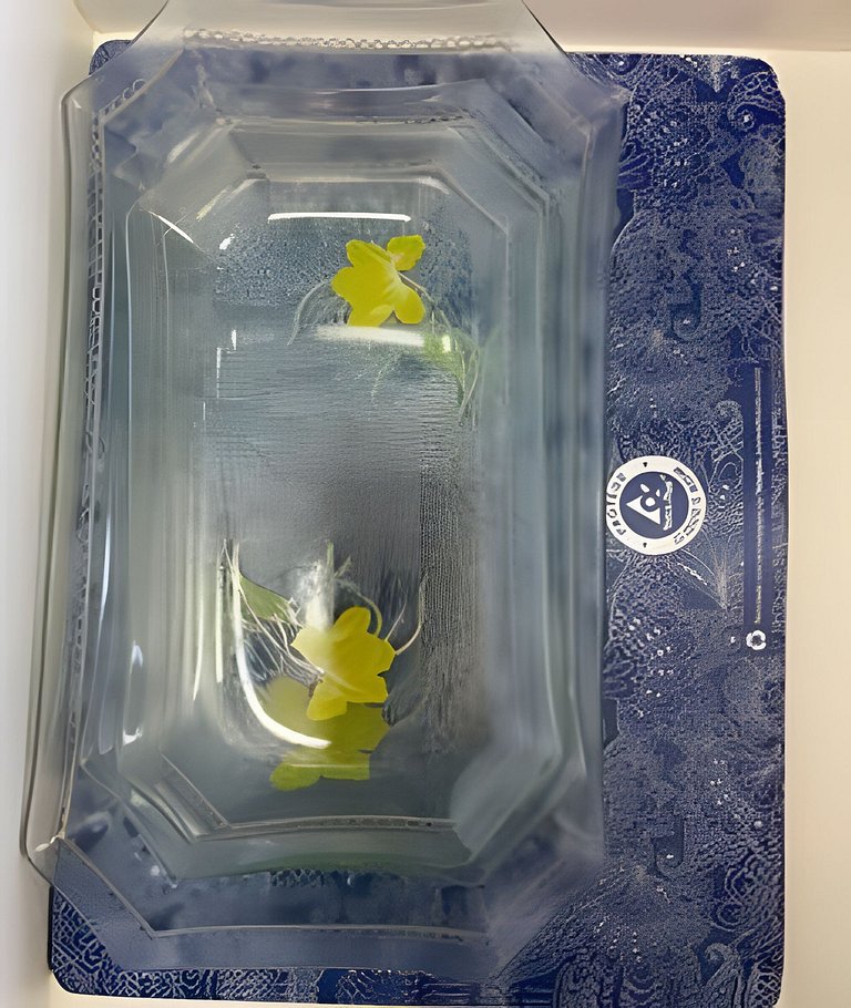 Conforto Familiar em Condomínio Conceito Clube