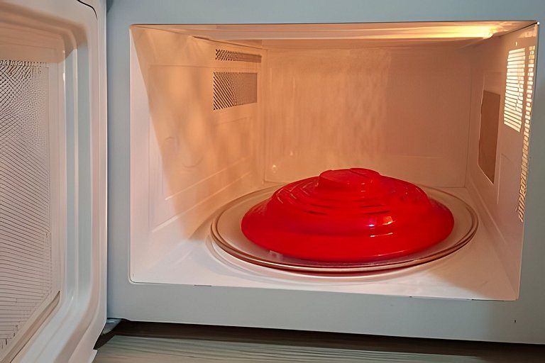 SHB - Entre a Praia e o Mundo Disney Pura Diversão