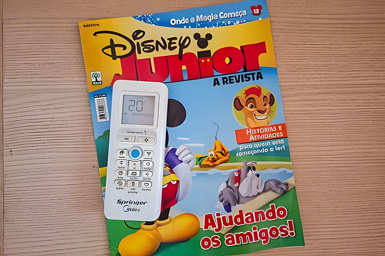 Entre a Praia e o Mundo Disney: Pura Diversão!
