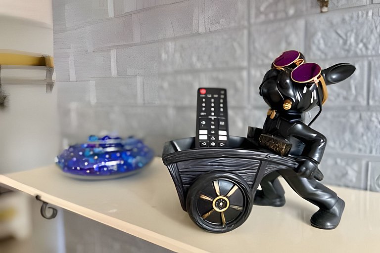 SHB - Pet friendly para toda família em Santos