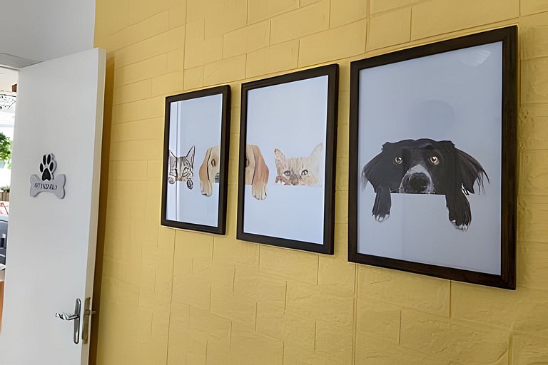 Pet friendly para toda família em Santos
