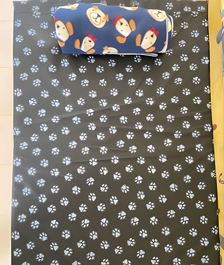 SHB - Pet friendly para toda família em Santos