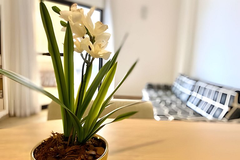 SHB - Bela vista da praia de Santos