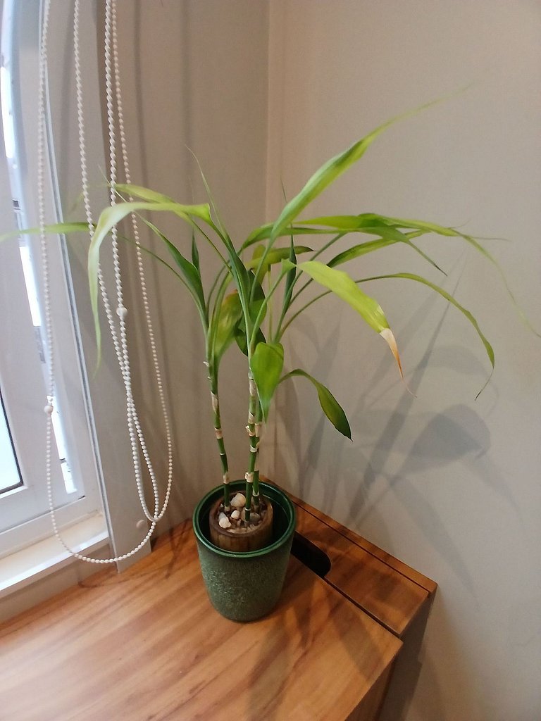 SHB • Pé na areia | Studio Completo | Moderno